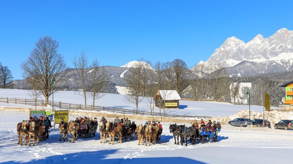Horse Carriage Ride Sleigh ride to Obertal valley - Touren-Impression #2.8 | © Tourismusverband Schladming - Martin Huber