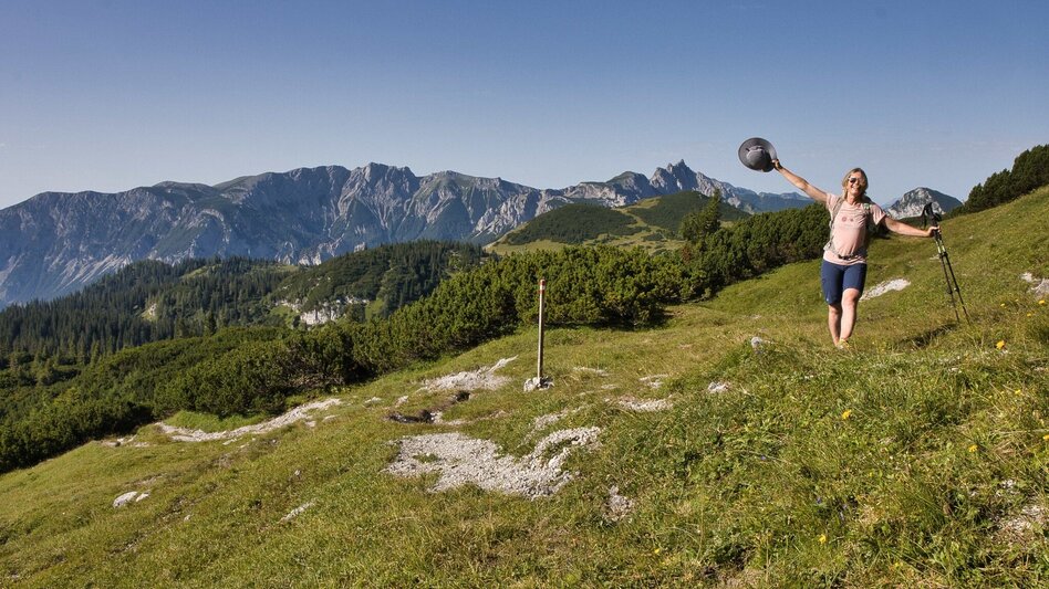 Hiking Route Großer Ebenstein, 2123 m - Touren-Impression #2.5 | © Weges OG