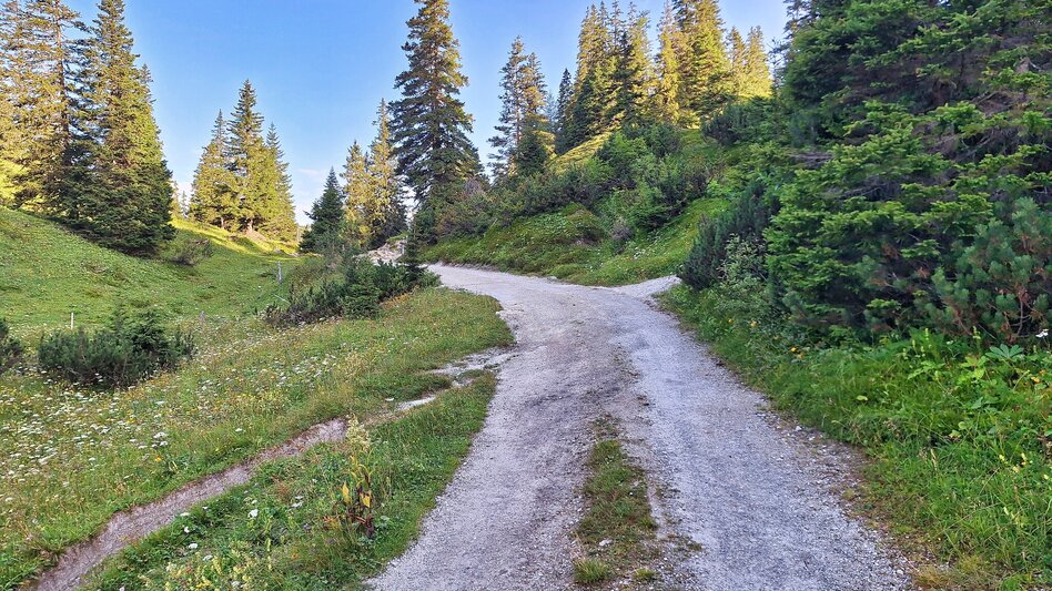 Hiking Route Großer Ebenstein, 2123 m - Touren-Impression #2.6 | © Weges OG