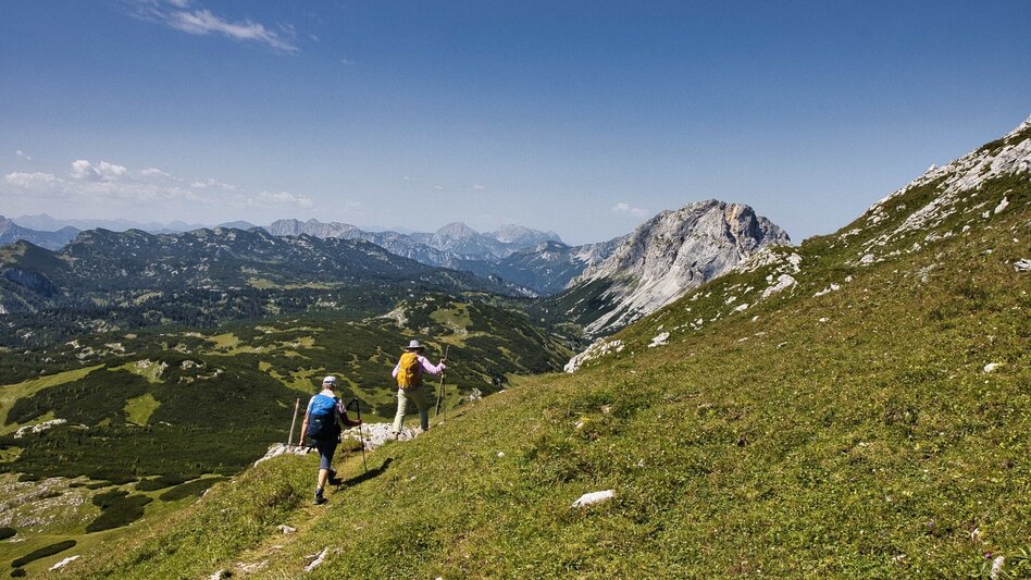 Hiking Route Großer Ebenstein, 2123 m - Touren-Impression #2.9 | © Weges OG