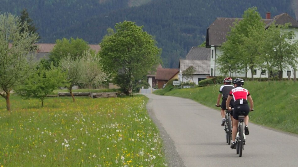 Rennrad Rennradtour - 50 Kilometer durchs Murtal - Touren-Impression #2.8 | © Erlebnisregion Murtal