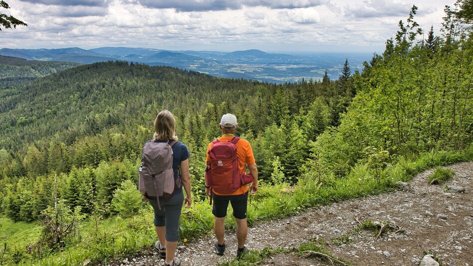 Bike & Hike Stadtfeeling, Wasserfreuden, Kulturerlebnis und Bergglück - Touren-Impression #2.7 | © Weges OG