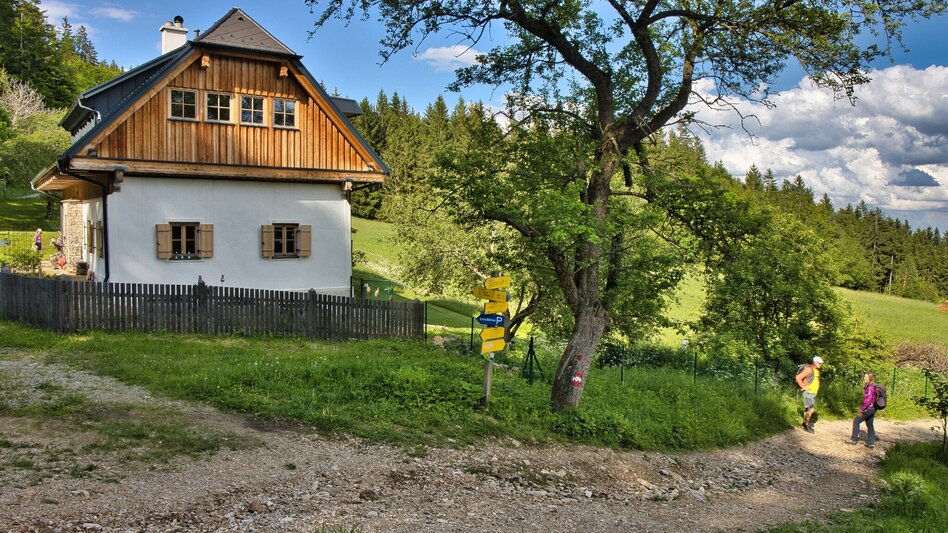 Bike & Hike Stadtfeeling, Wasserfreuden, Kulturerlebnis und Bergglück - Touren-Impression #2.11 | © Weges OG