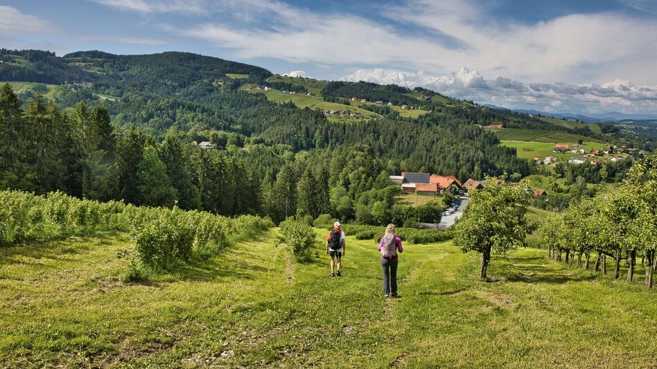 Bike & Hike Die Tour zum Wein durch Arnies Heimat - Touren-Impression #2.12 | © Weges OG