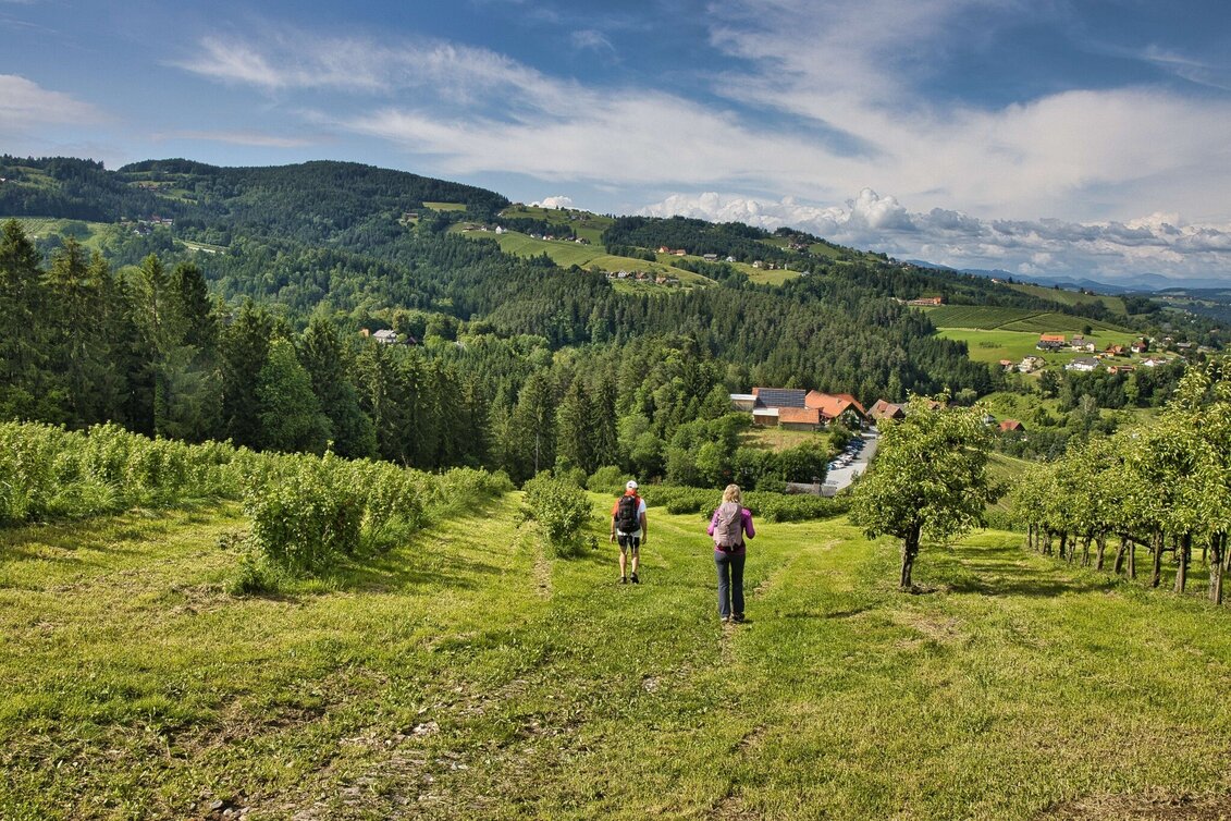Wanderung Graz, Ligist und Sch(m)ankerlweg (Bike & Hike) - Touren-Impression #1 | © Weges OG