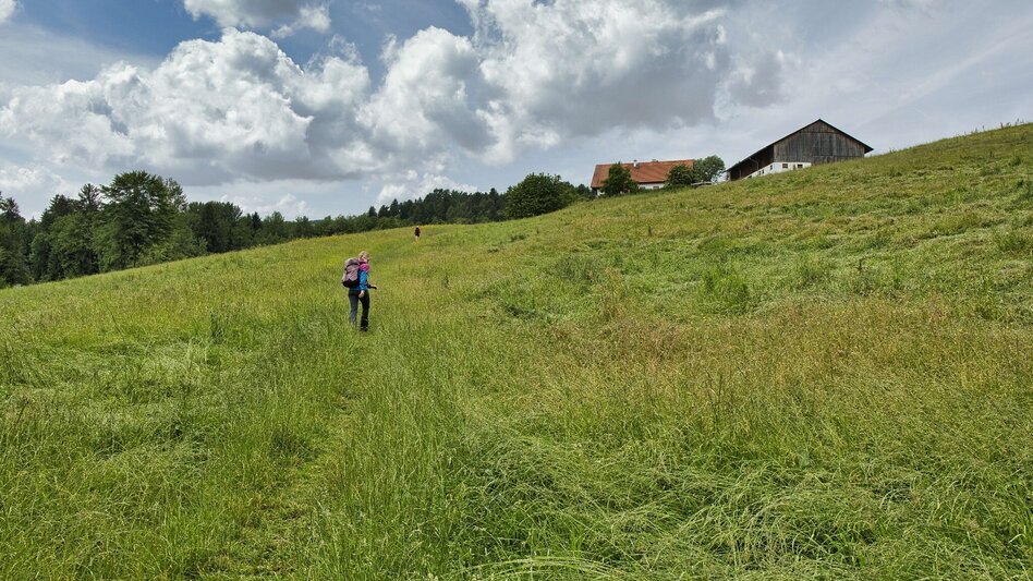 Bike & Hike Die Tour zum Wein durch Arnies Heimat - Touren-Impression #2.14 | © Weges OG