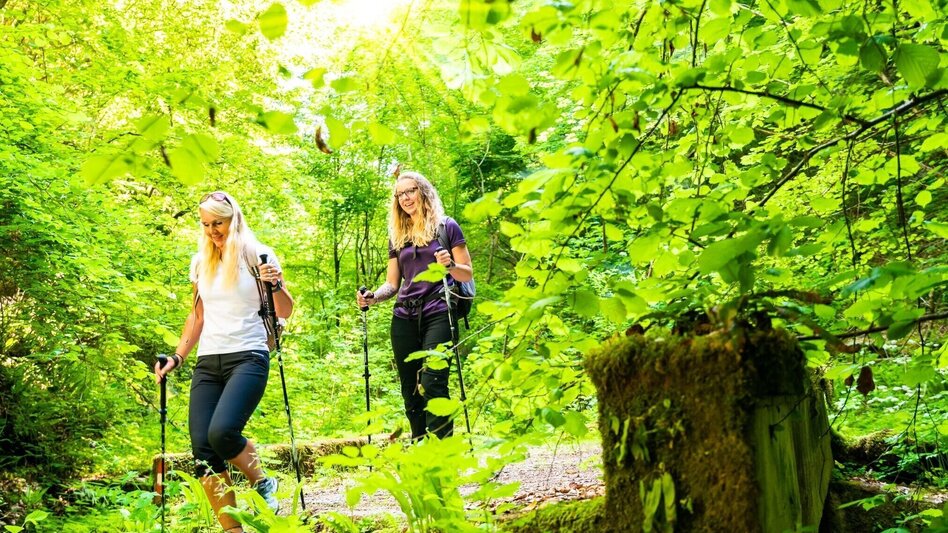 Hiking Route Die Badlschlucht – Erlebniswanderung - Touren-Impression #2.2