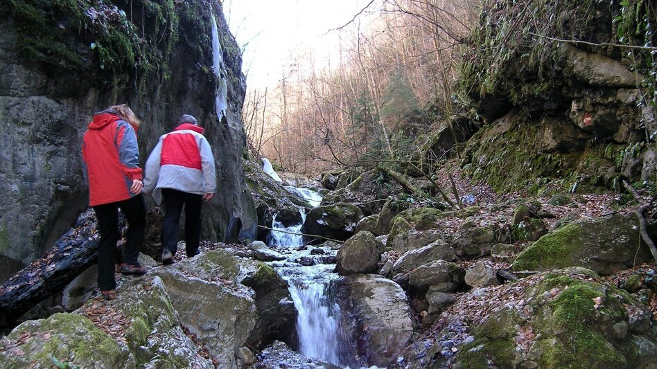 Hiking Route Die Badlschlucht – Erlebniswanderung - Touren-Impression #2.6