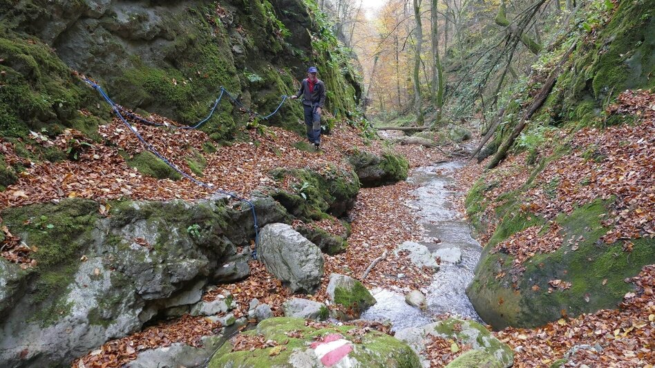 Hiking Route Die Badlschlucht – Erlebniswanderung - Touren-Impression #2.7