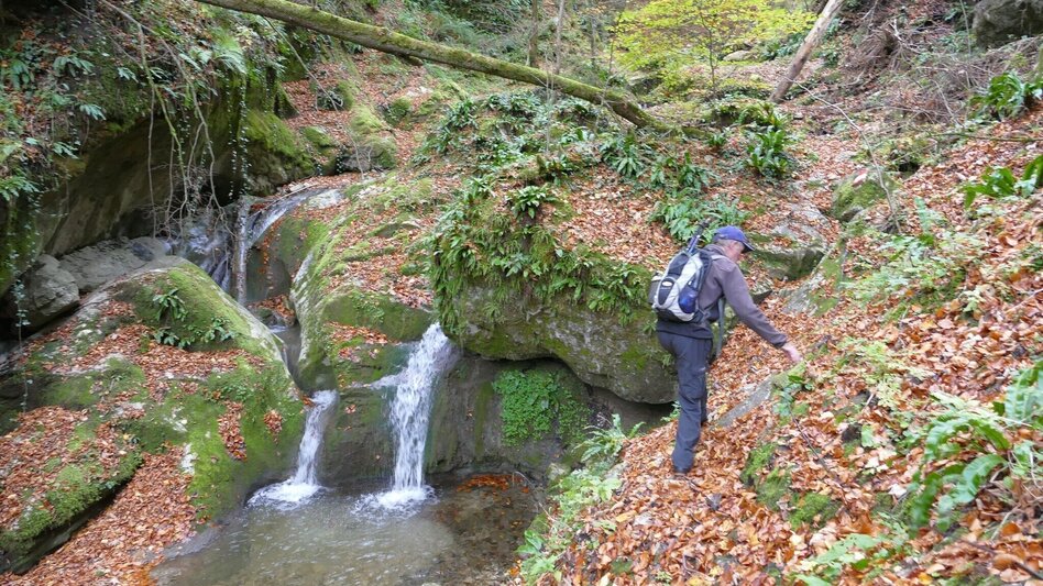 Hiking Route Die Badlschlucht – Erlebniswanderung - Touren-Impression #2.9