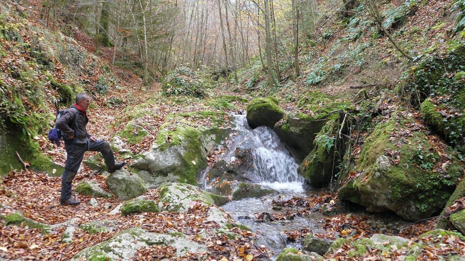 Hiking Route Die Badlschlucht – Erlebniswanderung - Touren-Impression #2.10