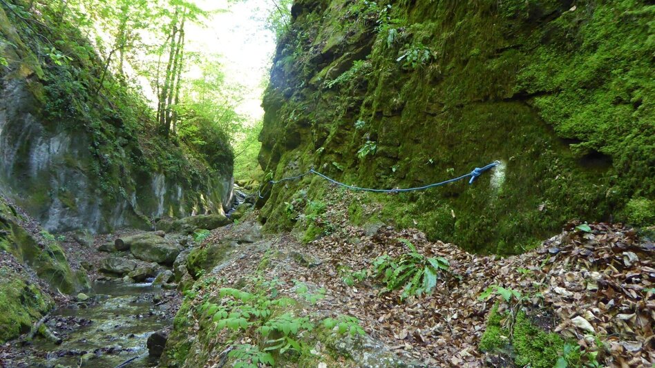 Hiking Route Die Badlschlucht – Erlebniswanderung - Touren-Impression #2.11