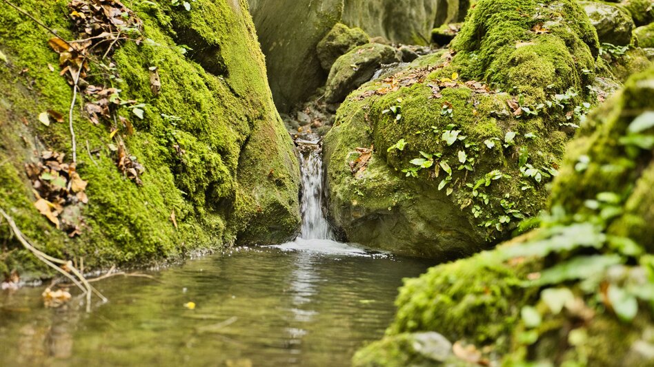 Wanderung Der Badlgraben - eine Erlebniswanderung - Touren-Impression #2.5 | © Region Graz