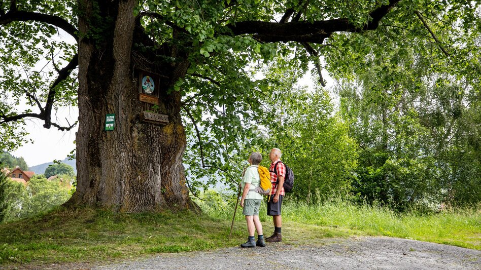 Pilgerweg Mariazeller Gründerweg - Etappe 1 - Touren-Impression #2.3 | © Tourismusverband Murau