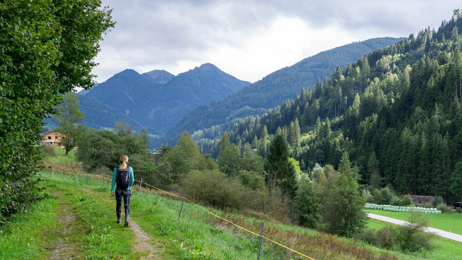 Jogging Raumberg-Loop - Touren-Impression #2.7 | © Erlebnisregion Schladming-Dachstein
