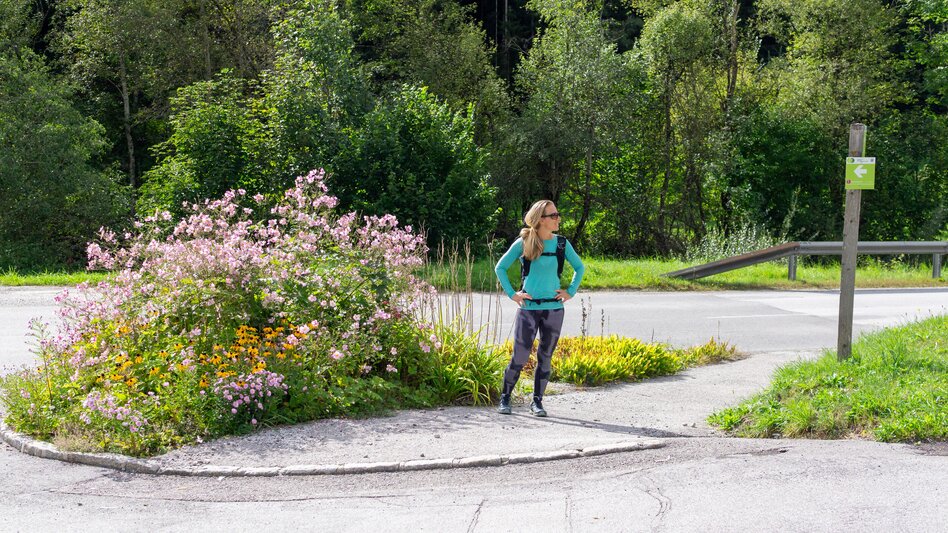 Jogging Raumberg-Loop - Touren-Impression #2.9 | © Erlebnisregion Schladming-Dachstein