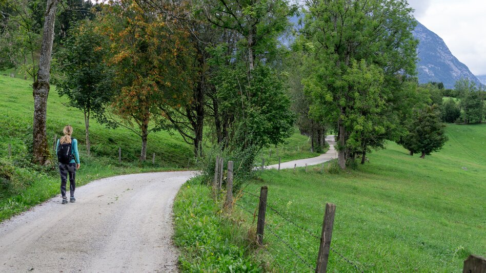 Jogging Raumberg-Loop - Touren-Impression #2.11 | © Erlebnisregion Schladming-Dachstein