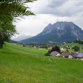 Blick auf den Grimming