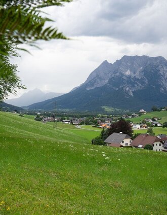 Blick auf den Grimming
