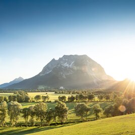 Grimming am Sommerabend