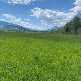 Ennswiesen-Runde im Tal