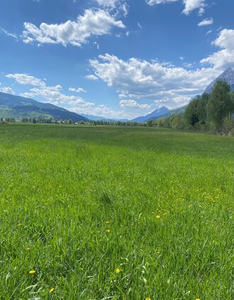 Ennswiesen-Runde im Tal