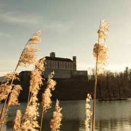 Schloss Trautenfels am See