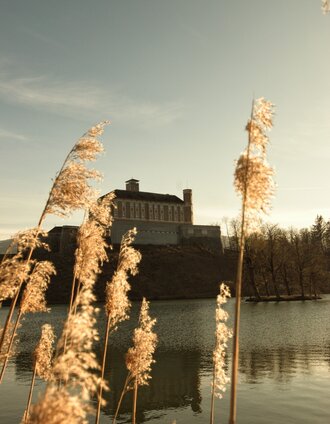Schloss Trautenfels am See