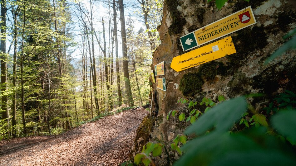 Jogging Fürstensteig-Runde - Touren-Impression #2.5 | © Christoph Lukas