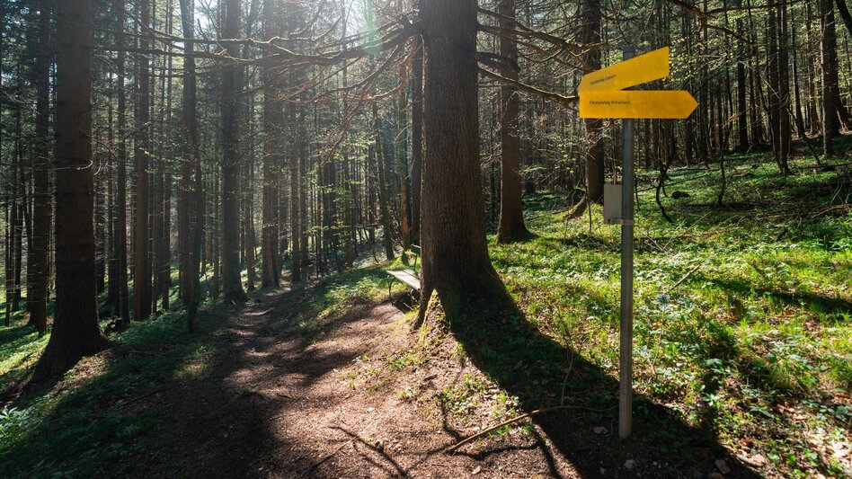Jogging Fürstensteig-Runde - Touren-Impression #2.8 | © Christoph Lukas