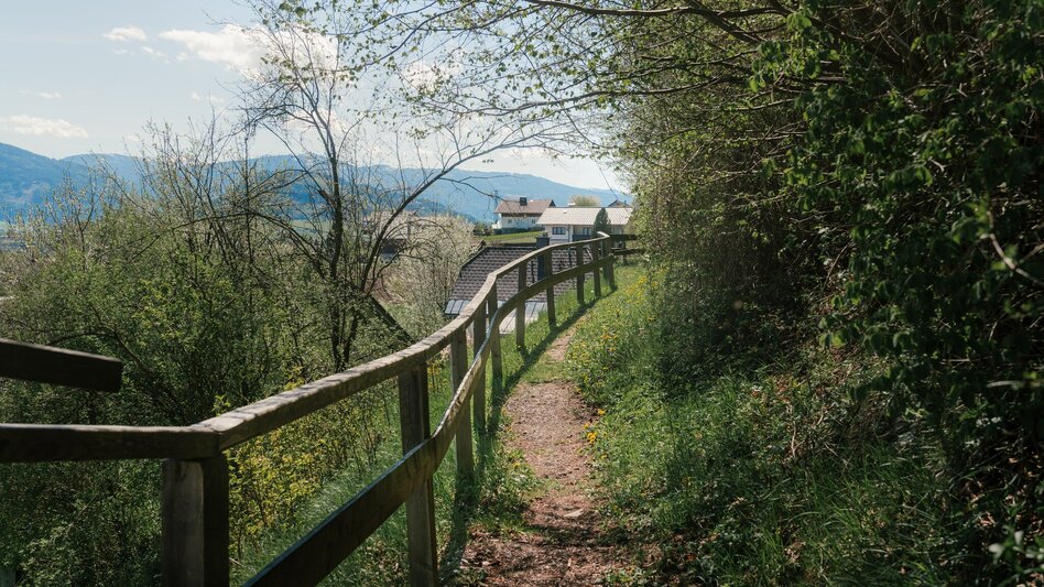 Jogging Fürstensteig-Runde - Touren-Impression #2.17 | © Christoph Lukas