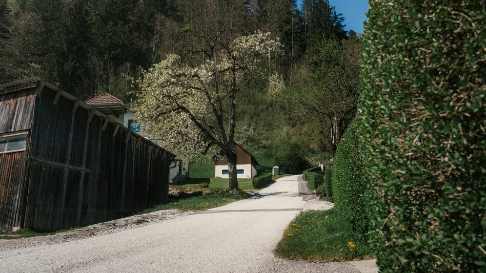 Jogging Fürstensteig-Runde - Touren-Impression #2.19 | © Christoph Lukas