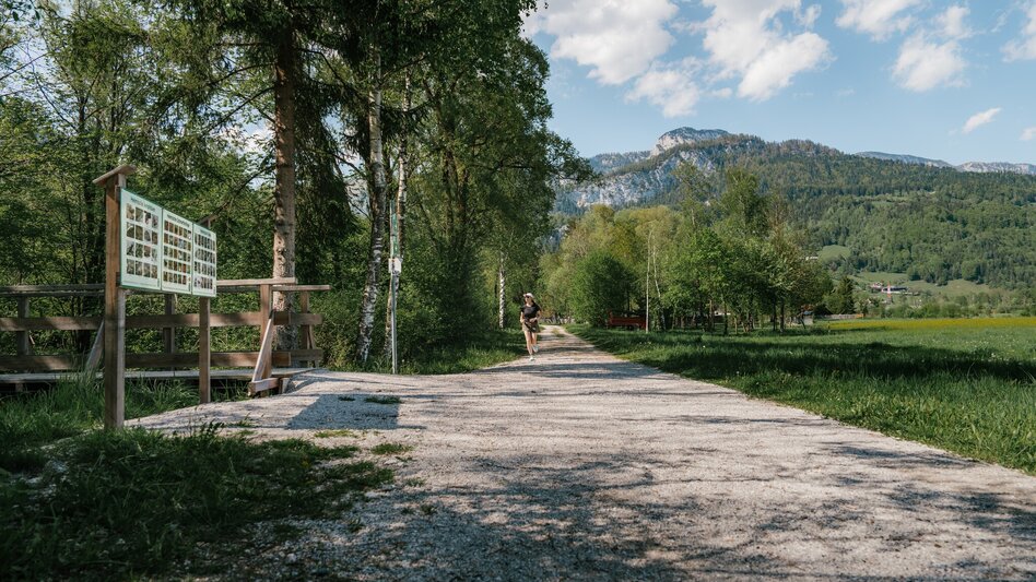 Jogging Fürstensteig-Runde - Touren-Impression #2.22 | © Christoph Lukas