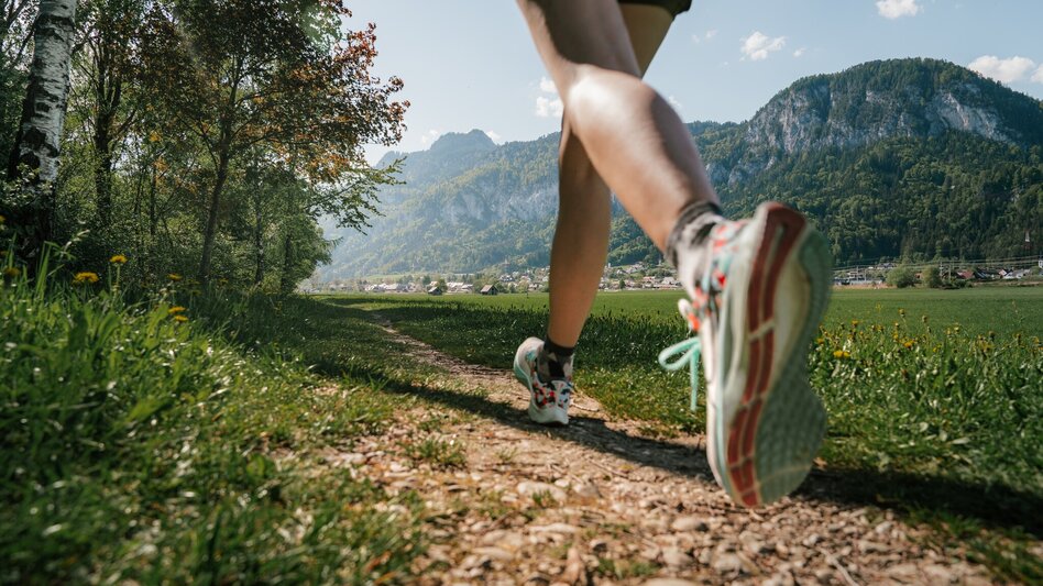Jogging Fürstensteig-Runde - Touren-Impression #2.23 | © Christoph Lukas