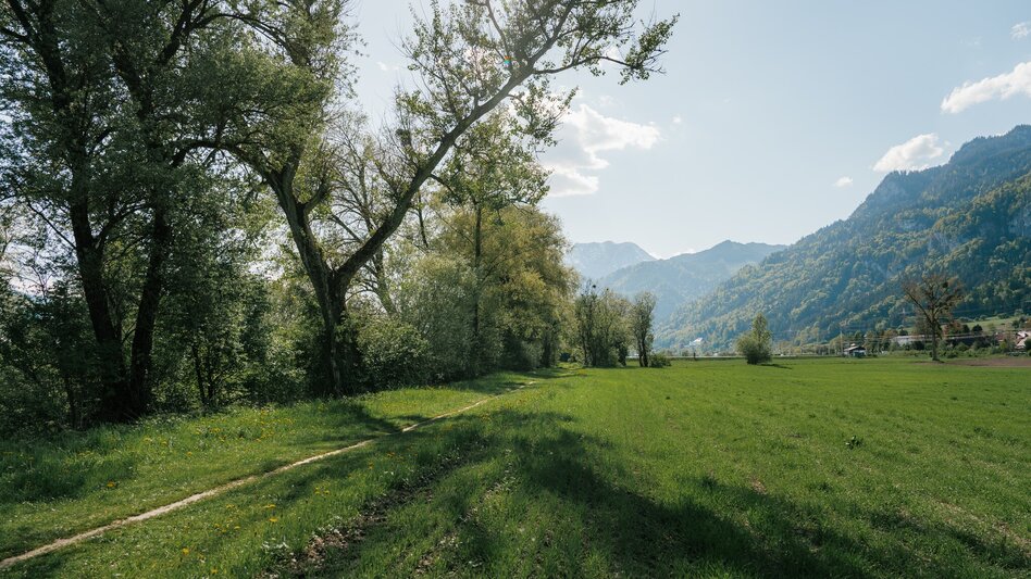 Jogging Fürstensteig-Runde - Touren-Impression #2.25 | © Christoph Lukas