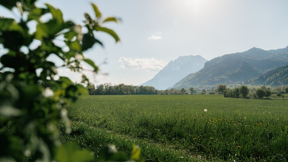Jogging Fürstensteig-Runde - Touren-Impression #2.26 | © Christoph Lukas