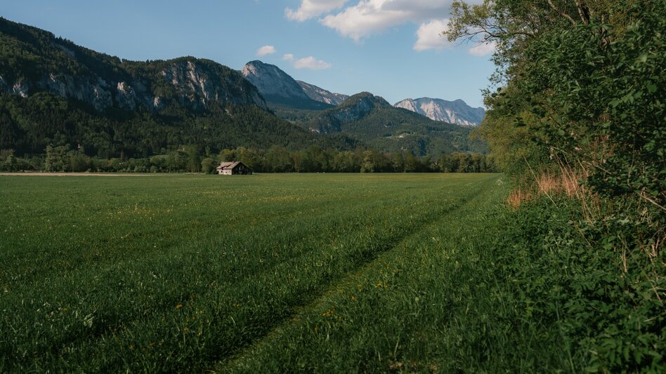 Jogging Fürstensteig-Runde - Touren-Impression #2.28 | © Christoph Lukas
