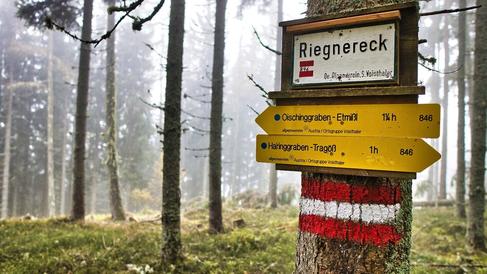 Pilgrim Walk Etappe 5 - Mariazeller Gründerweg  - Touren-Impression #2.6 | © Weges OG