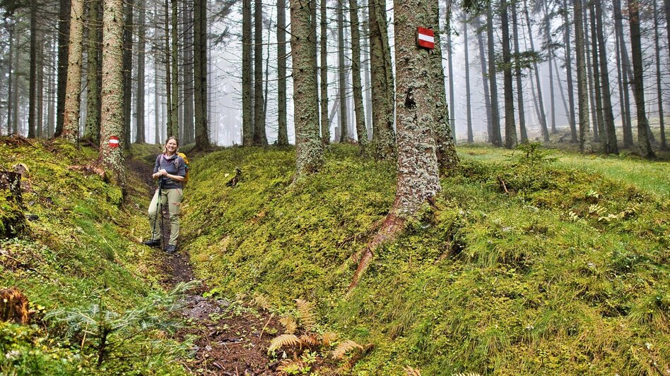 Pilgrim Walk Etappe 5 - Mariazeller Gründerweg  - Touren-Impression #2.2 | © Weges OG
