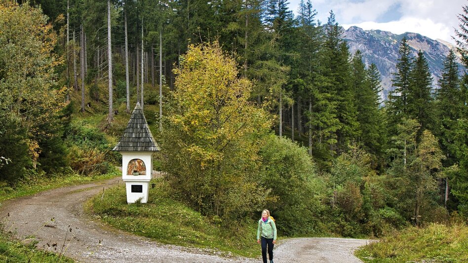 Pilgrim Walk Etappe 5 - Mariazeller Gründerweg  - Touren-Impression #2.3 | © WEGES OG