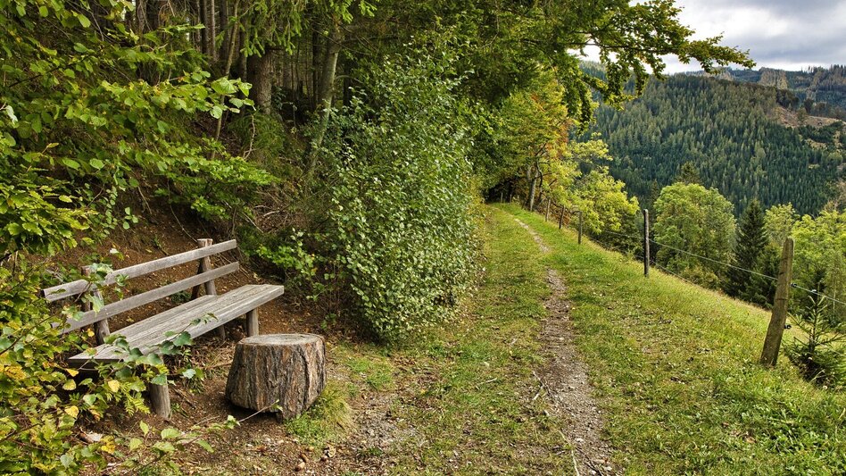 Wanderung Von Vordernberg nach Tragöß zum Grünen See - Touren-Impression #2.12 | © Weges OG