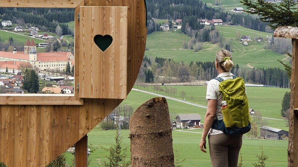 Wanderung Von Knittelfeld über den Tremmelberg nach Seckau - Touren-Impression #2.3 | © Weges OG