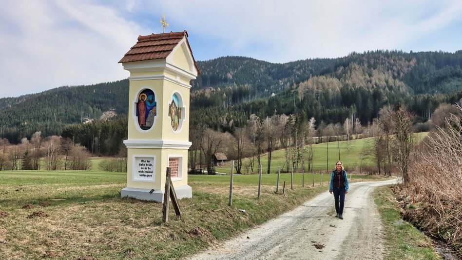 Wanderung Von Knittelfeld über den Tremmelberg nach Seckau - Touren-Impression #2.13 | © Weges OG