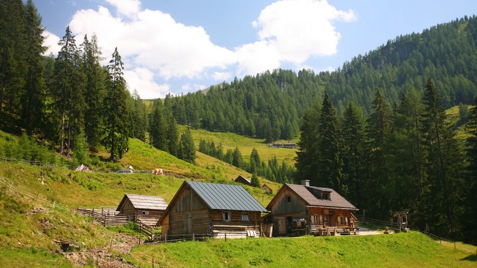 Hiking Route Hike to the Gumpenalm - Touren-Impression #2.1