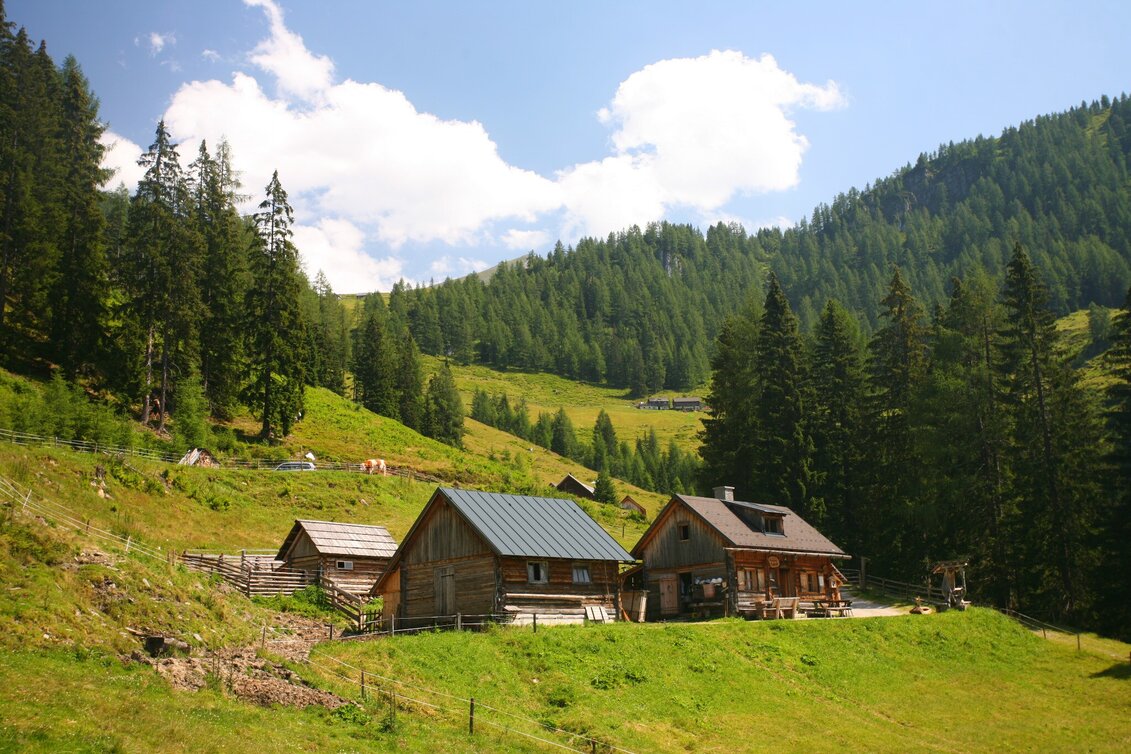 Hiking Route Hike to the Gumpenalm - Touren-Impression #1