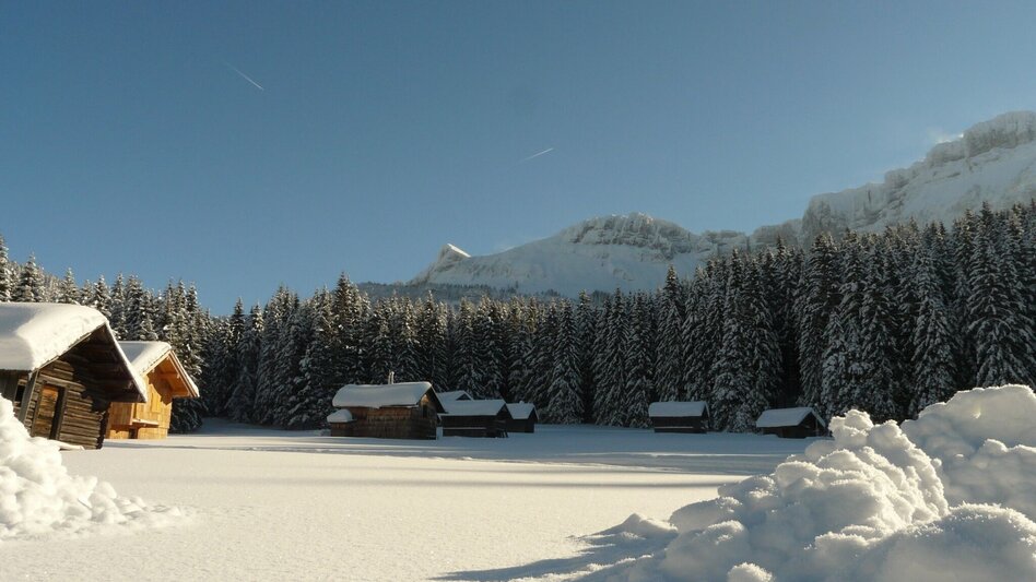 Ski-Nordic Skating Blaa Alm - Rettenbach trail - Touren-Impression #2.3 | © Ausseerland
