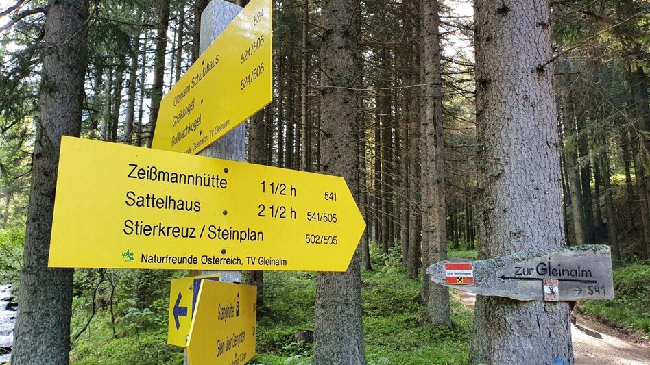 Wanderung Speikkogel vom Gleingraben - Touren-Impression #2.2 | © Martin Muhrer