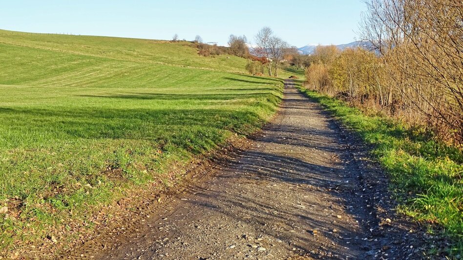 Hiking Route Sillweger Aussichtswarte-Runde von Fohnsdorf - Touren-Impression #2.6 | © Weges OG