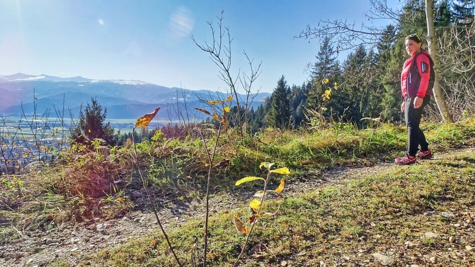 Hiking Route Sillweger Aussichtswarte-Runde von Fohnsdorf - Touren-Impression #2.7 | © Weges OG