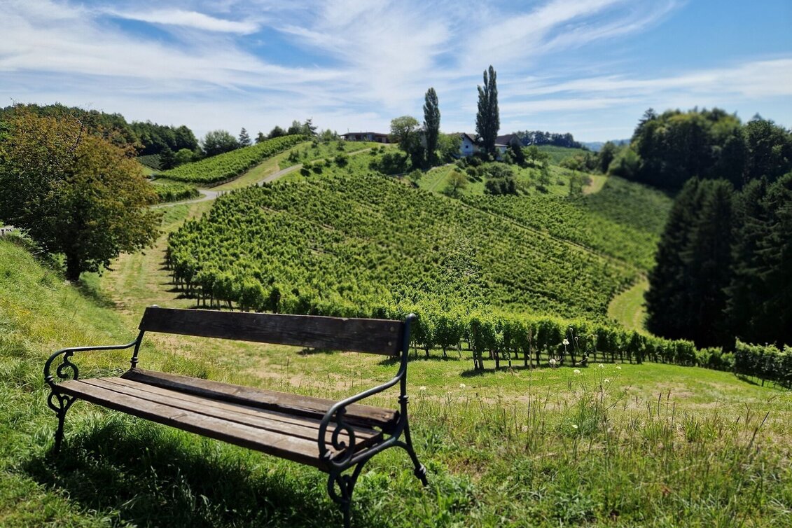 Hiking Route Over hill and dale – Nature Park walking trail - short version - Touren-Impression #1 | © TV Südsteiermark/Daniela Haring